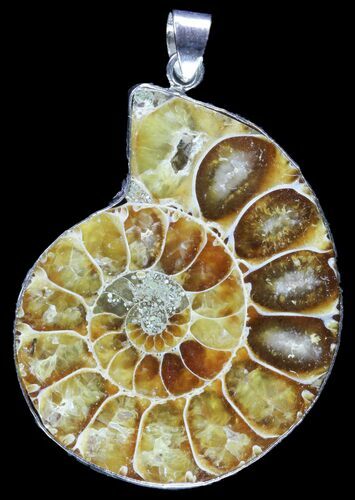 Fossil Ammonite Pendant - Million Years Old #89860